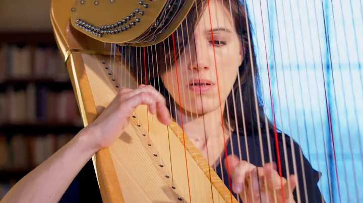 CLIP Rameau, Rappel des Oiseaux, Constance Luzzati...