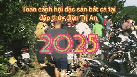 Đặc sản hội bắt cá hàng năm tại đập thủy điện Trị An 2025 (xả lũ lần 1)