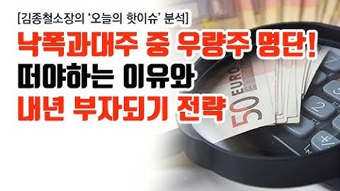 [김종철 오늘의 핫이슈 분석] 낙폭과대주 중 우량주 명단! 떠야하는 이유와 내년 부자되기 전략