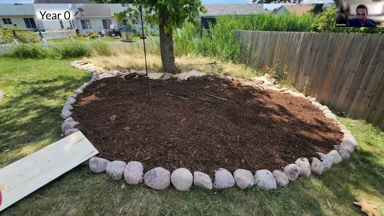 Going Wild: Repopulating Your Garden with Native Plants 🌿