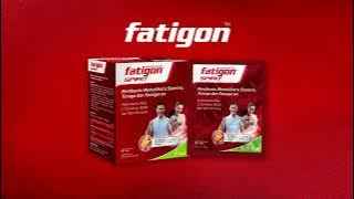 Download lagu Fatigon Spirit.