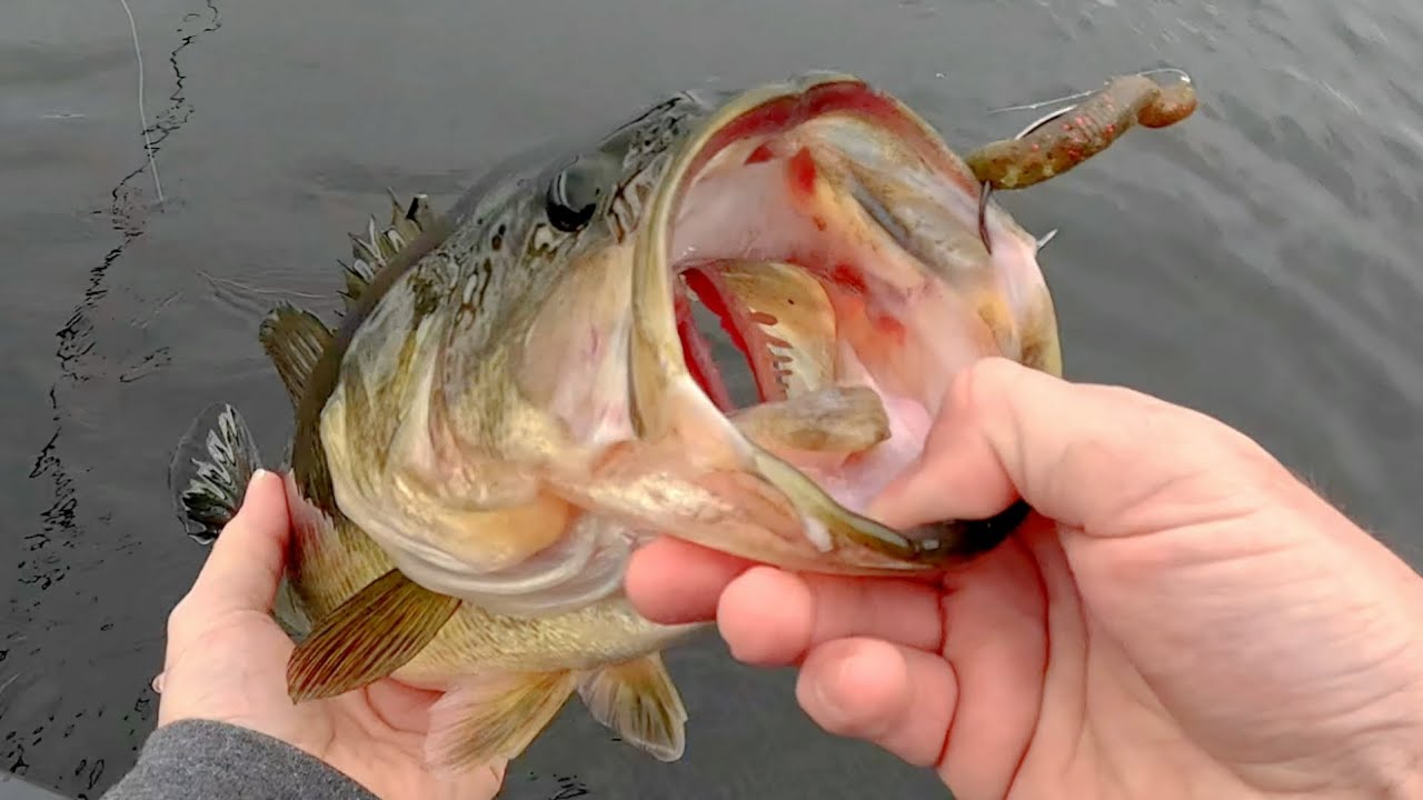 BASS LOVE Weightless Texas- Canoe Fishing