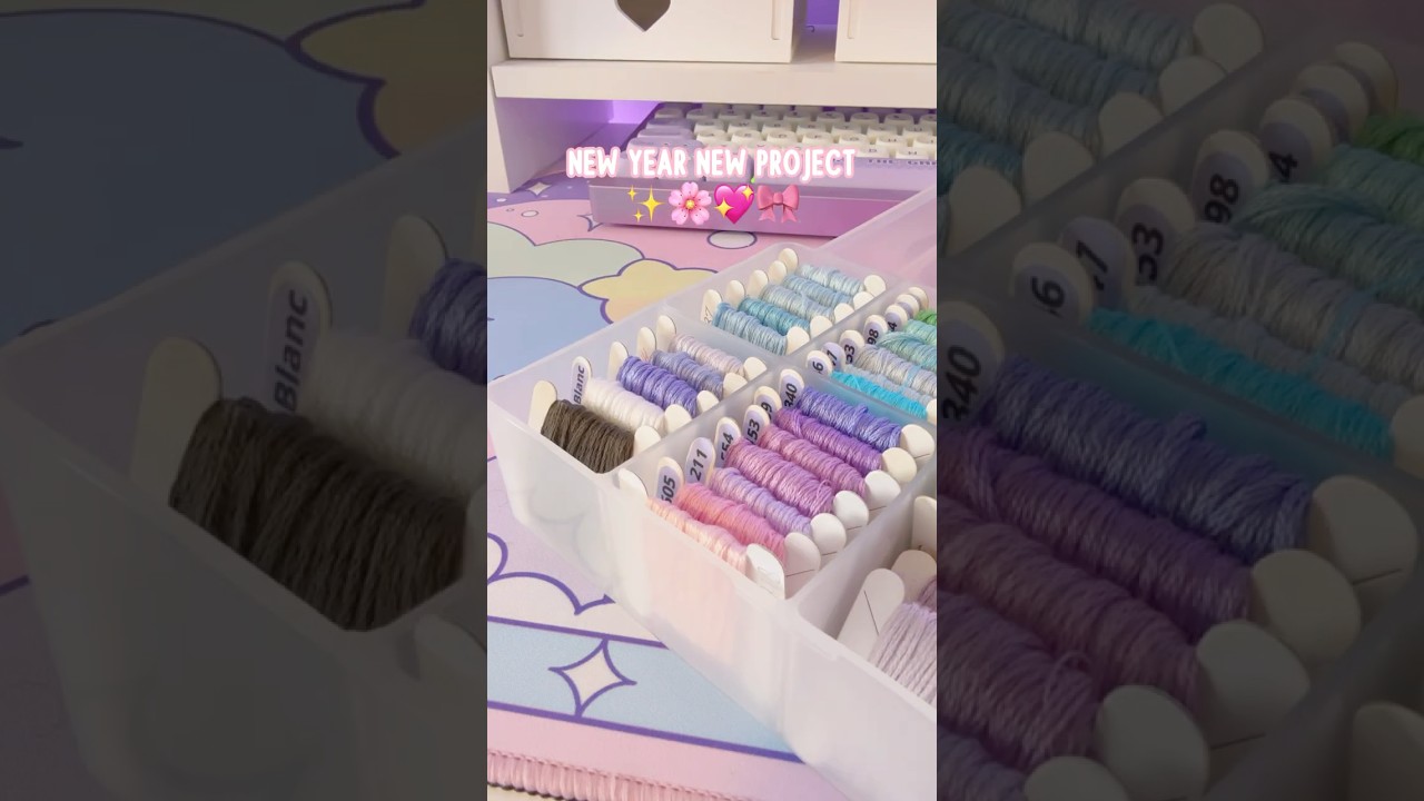 First cross stitch project of 2025! ✨🤍🩵