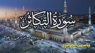تلاوة مرتبة لسورة التكاثر كاملة بصوت القارئ ياسين الجزائري - Surah Al-Takathur Yassin Al-Jazairi