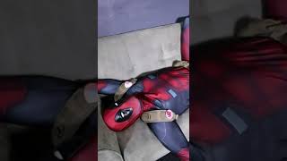 DEADPOOL LIKES TURTLES MEME