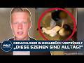 OSNABRÜCK: Mega-Schock! Jugendliche schlagen mit Flasche auf Obdachlosen ein! Polizei äußert sich