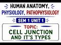 CELL JUNCTION &amp; ITS TYPES( HAPP 1 UNIT 1) B PHARMACY