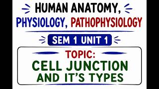 CELL JUNCTION &amp; ITS TYPES( HAPP 1 UNIT 1) B PHARMACY