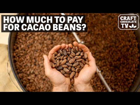 Video: How Much Does A Cup Of Cocoa Cost?