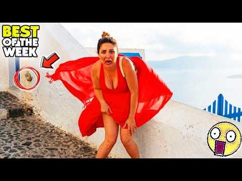 Try Not To Laugh 🤣 #114 | Instant Regret & Hilarious Moments | Best Of The Week