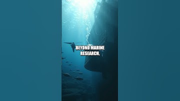 The Future of Autonomous Underwater Drones