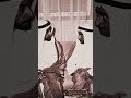 يا ابي الاكبر من بعد ابي من قصايد الشيخ محمد بن راشد ال مكتوم يا ابي الاكبر من بعد ابي من قصايد الشيخ محمد بن راشد ال مكتوم