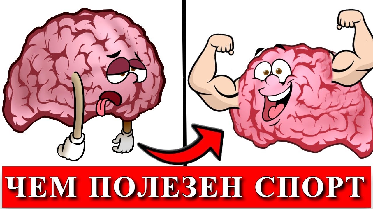 Почему нужно заниматься спортом | Как спорт может изменить жизнь - YouTube