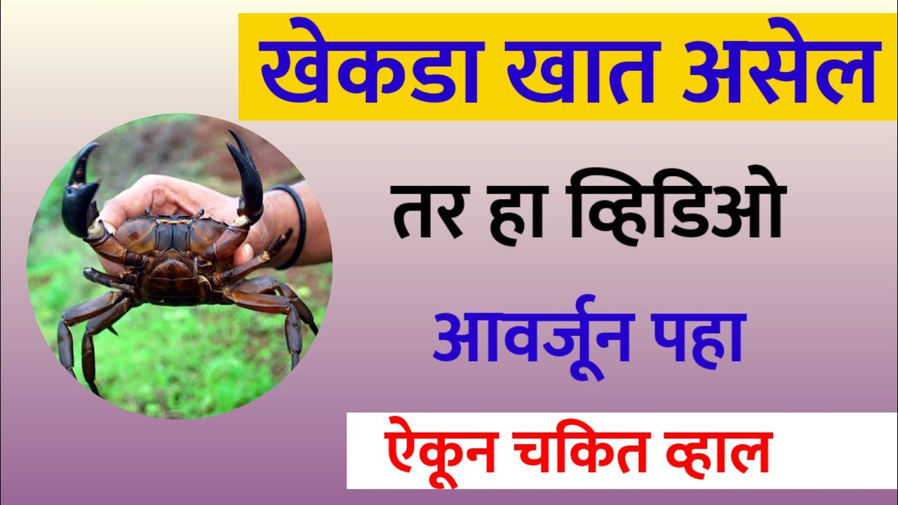 खेकडा खात असेल तर हा व्हिडिओ आवर्जून पहा ऐकून चकित व्हाल || Crab Benefits Marathi