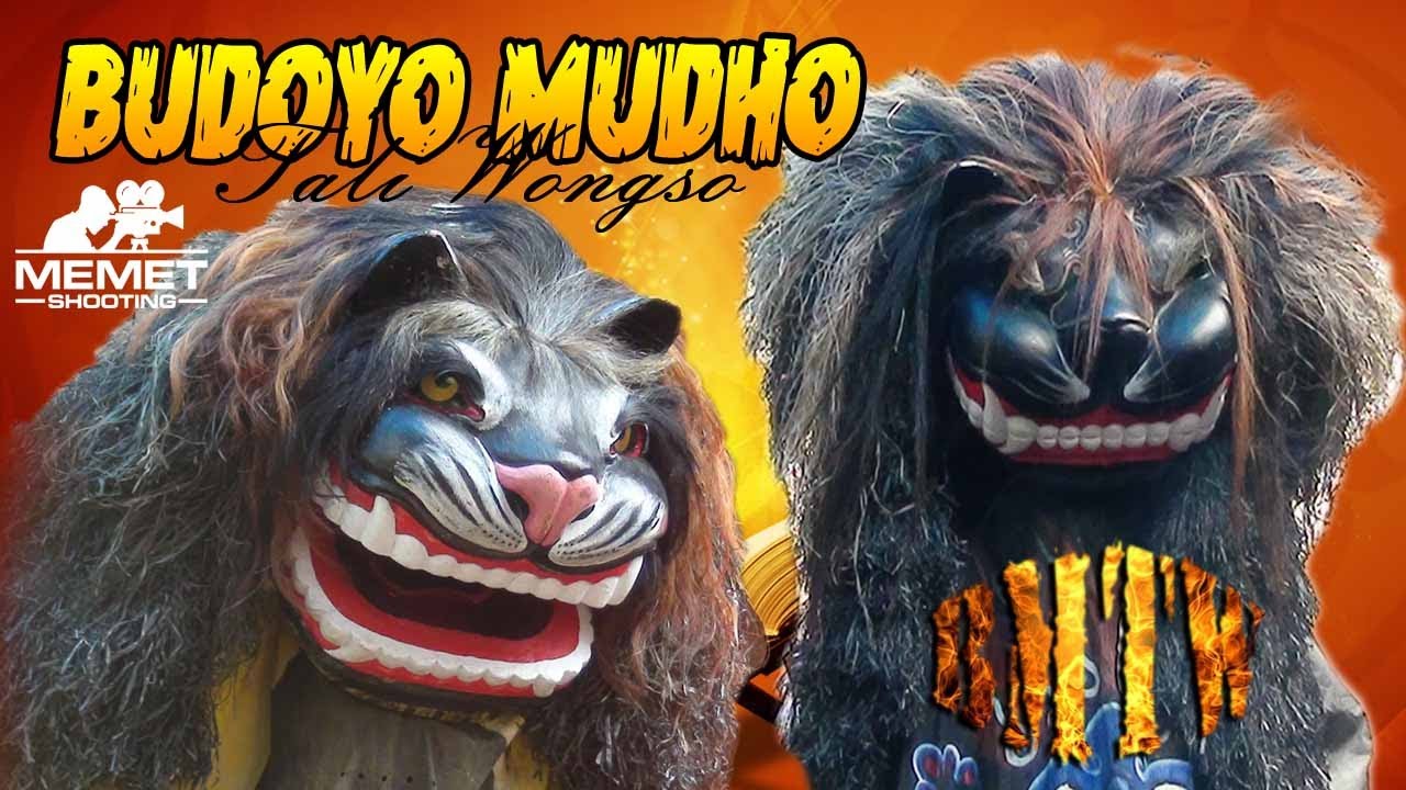 Kiprah Terbaru barongan BMTW Budoyo Mudho Taliwongso Live Wungurejo#memetchanel