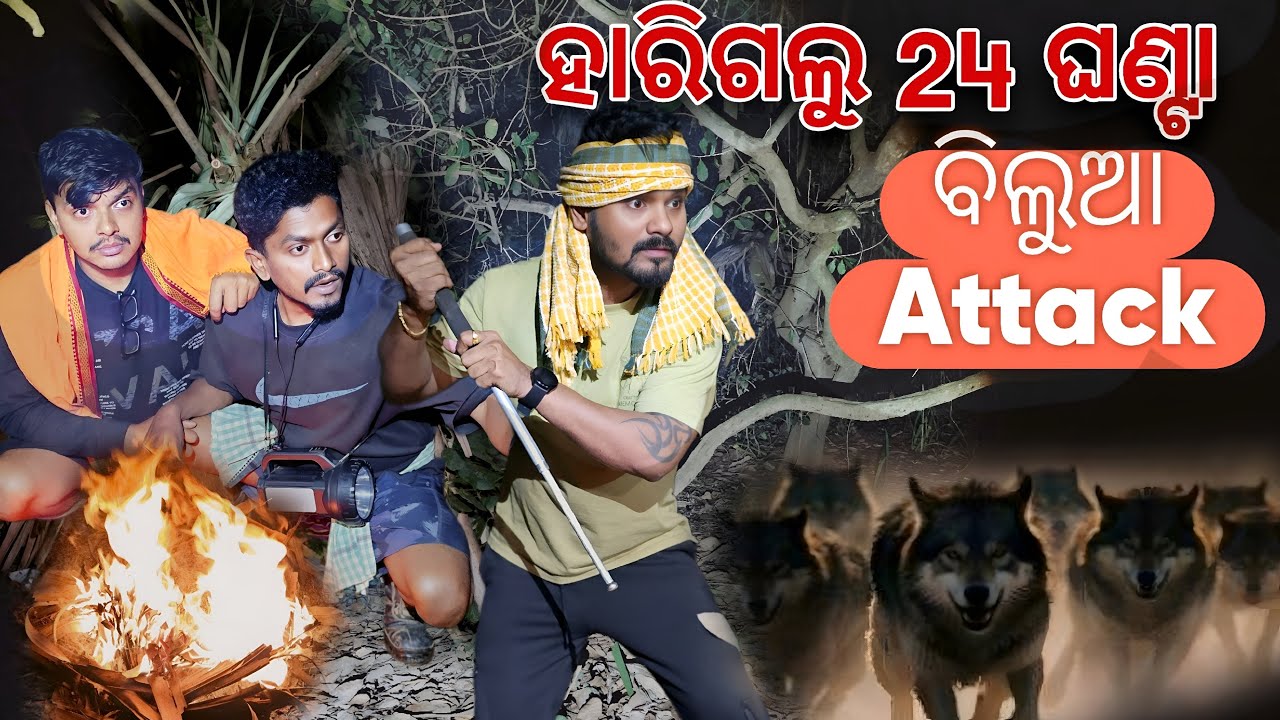ହାରିଗଲୁ  Challange 24 ଘଣ୍ଟା  ବିଲୁଆ ମାନେ Attack 😭#721
