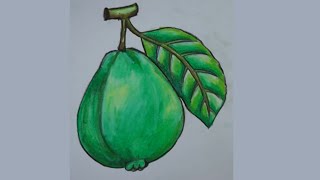 how to draw a guava with oil pastel | easy guava art step by step