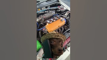 🧑‍🎤📞 : Hello, Factory Harness Custom Map Sensor + Coil K20 Ready Stock ? #tunedbyssrmotorsport