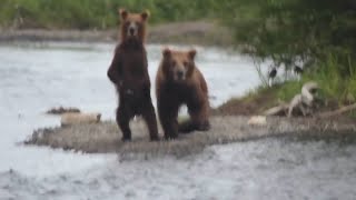 Ролики-Заявки на место в экспедиции Mamont Cup 2016