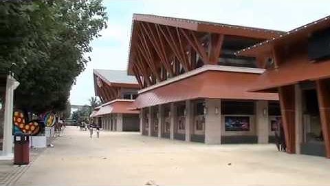 Explainer Video I Animated Video - Client showcase - NEA