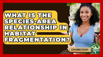 What Is The Species-area Relationship In Habitat Fragmentation? - Explaining Ecology