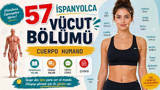 İspanyolca Vücut Bölümleri - Örnek Cümleli & Sesli Video screenshot 1