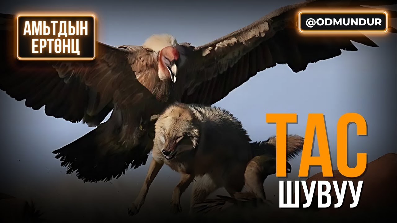 Тас - АМЬТДЫН ЕРТӨНЦ