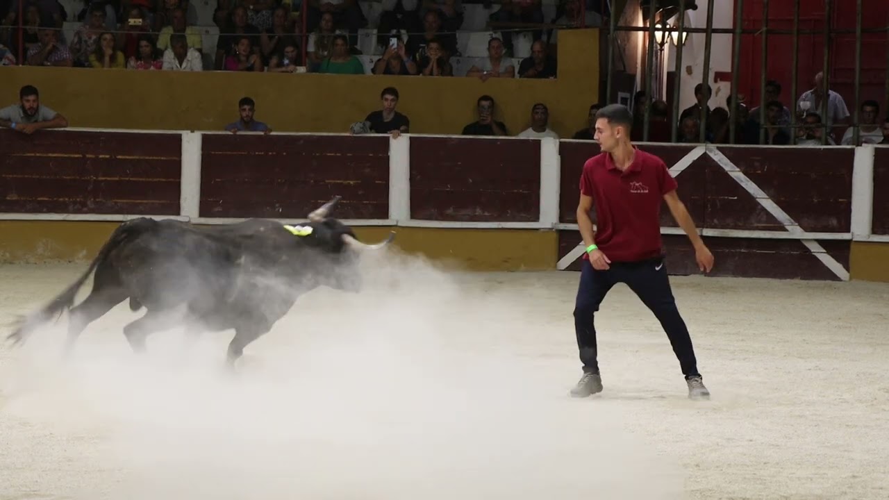 Demonstração de Recortadores em Arruda dos Vinhos | Toreros de La Calle