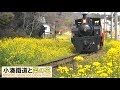 小湊鉄道と菜の花  2019年3月（千葉県市原市）/ Kominato Railway and Canola Flower…