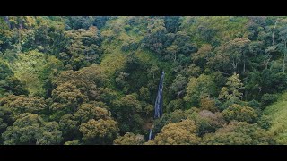 Air Terjun Putri Pintu Bale Redelong