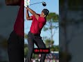 Is Scottie Scheffler the modern day Tiger Woods???