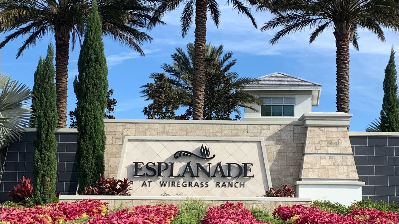 Interior Car Detailing Wesley Chapel We Come To You Fully Mobile (813) 6356160 Open 24hrs YouTube