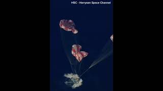 Artemis II Splashdown #shorts 