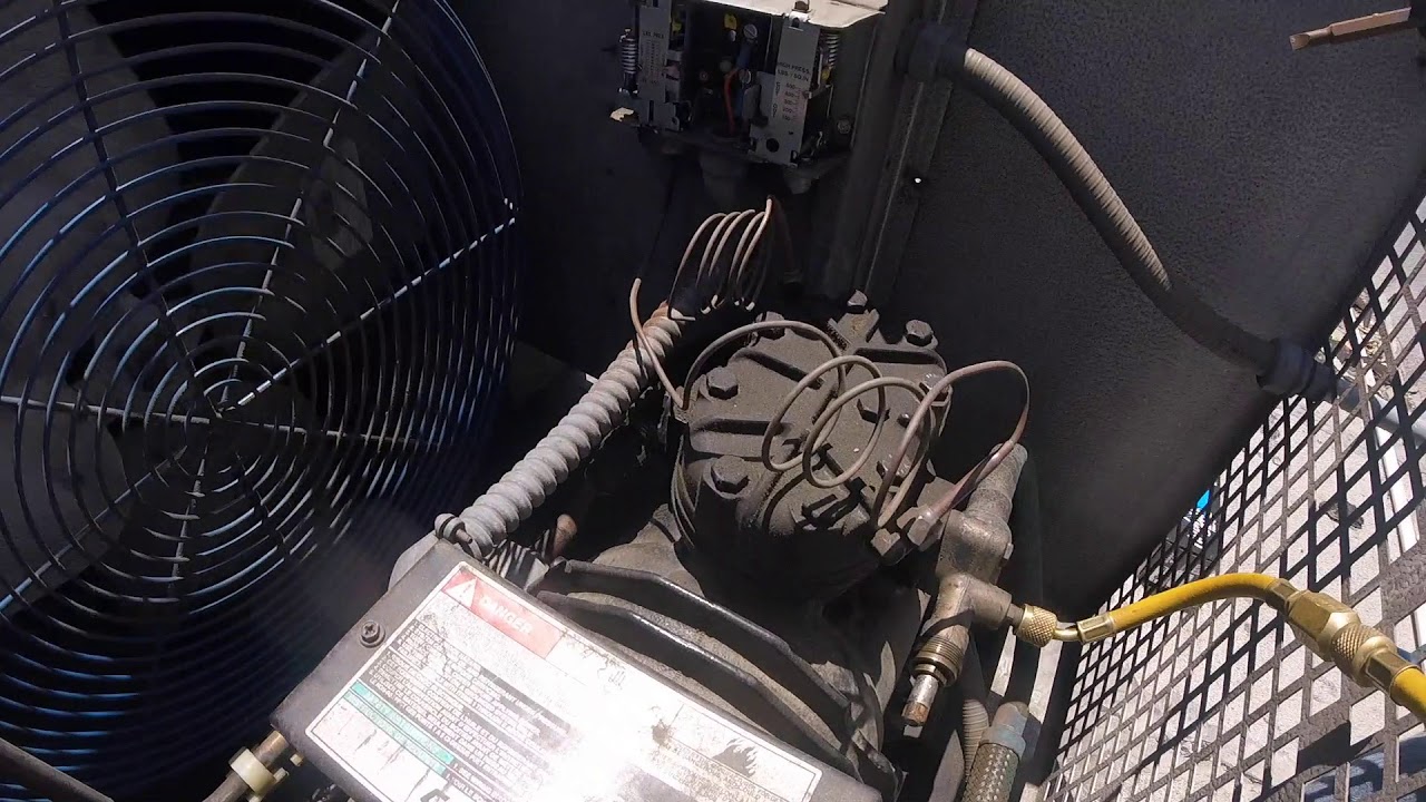 Hoshizaki leaky Hot Gas Valve. Walk In Freezer Tripple Repair. And