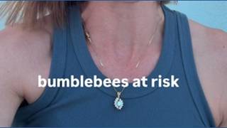 Heatwave Hurting Bees