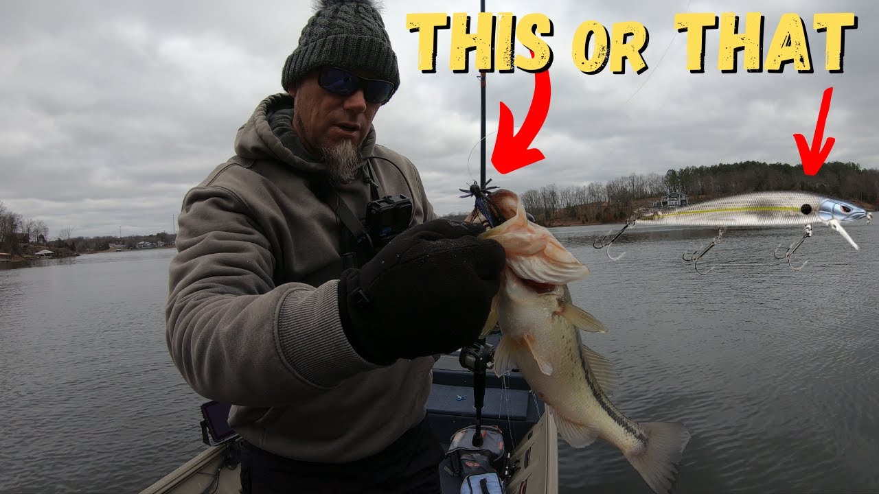 When To CHOOSE A JERKBAIT Over A JIG YouTube
