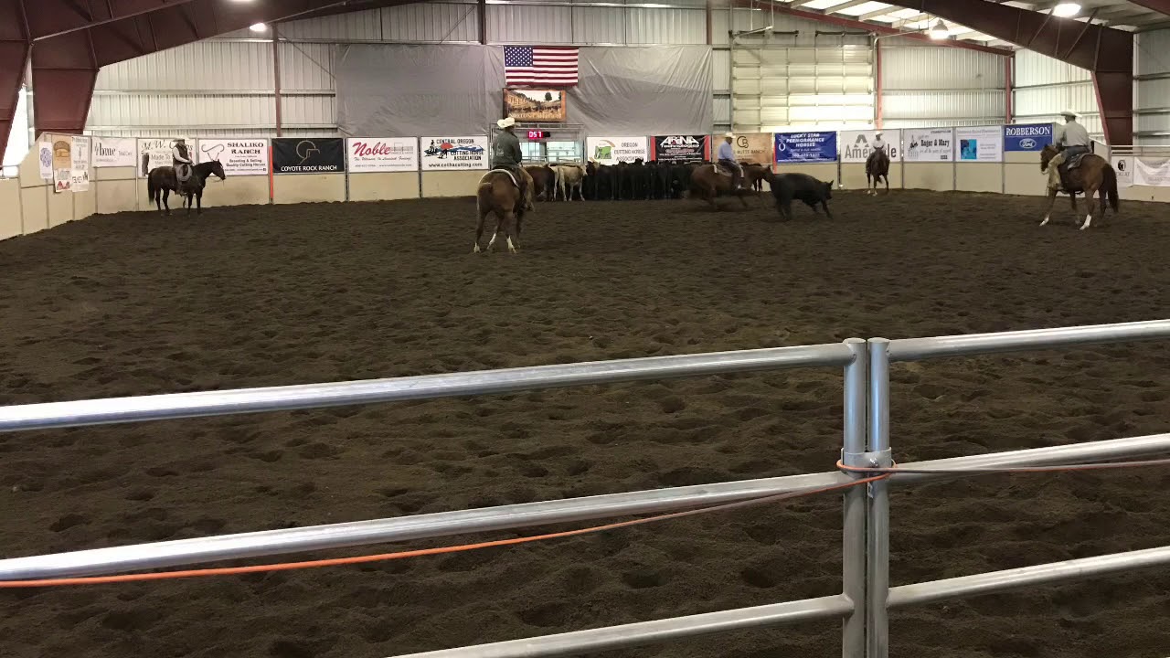 Noble PAnels - Cow Cutter Arena + Event Stalls Madras, OR Cutting Arena