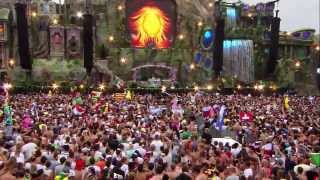 Thomas Gold feat. Kaelyn Behr - Remember: Axwell Live @ Tomorrowland 2013