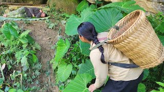 Download Lagu A kind single mother helps a sick police officer in the forest. MP3