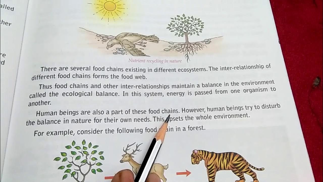 Class 5 History YouTube