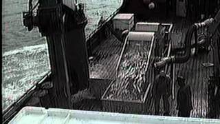 Fish Pump-Herring-SILKSTREAM 1015- Kamishak Bay, AK., USA