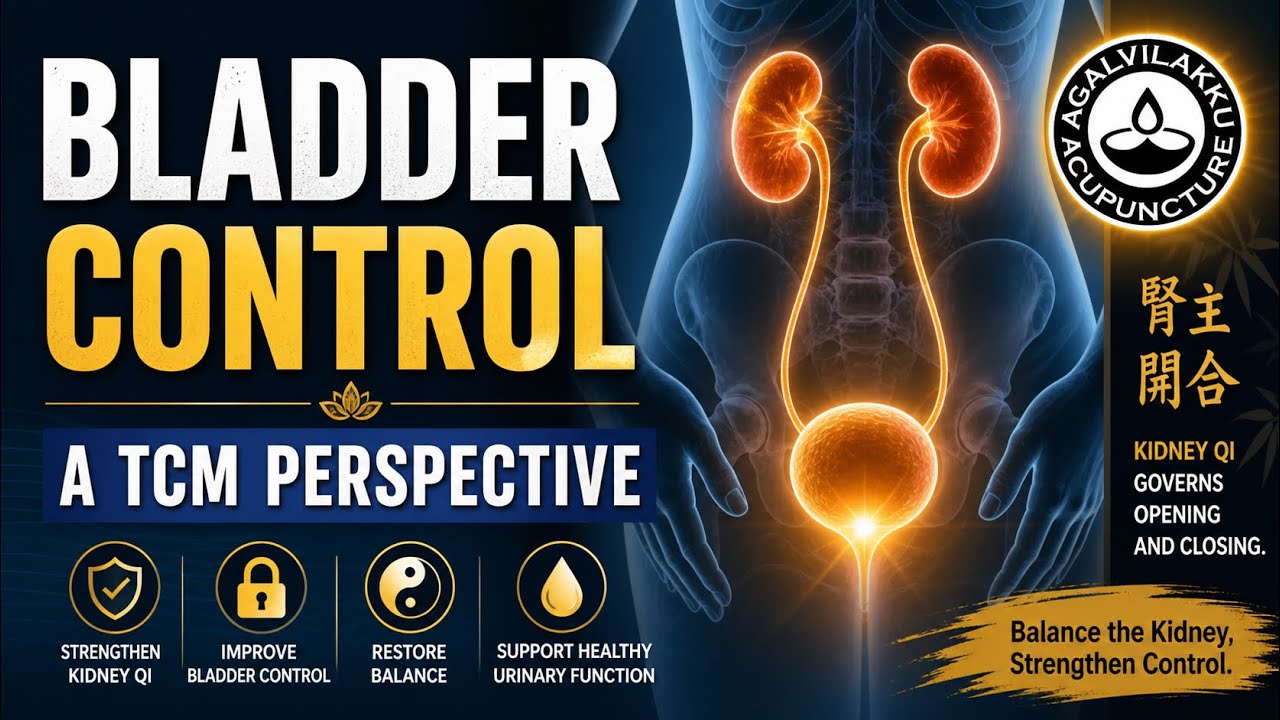 Bladder Control : A TCM Perspective - YouTube
