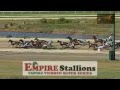 Terrible harness racing accident