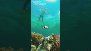 Discover the Hidden Gem: Ko He Island ! #thailand