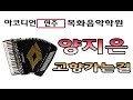 양지은 고향가는길 / 명품 이태리 피시타리아 / 아코디언 연주