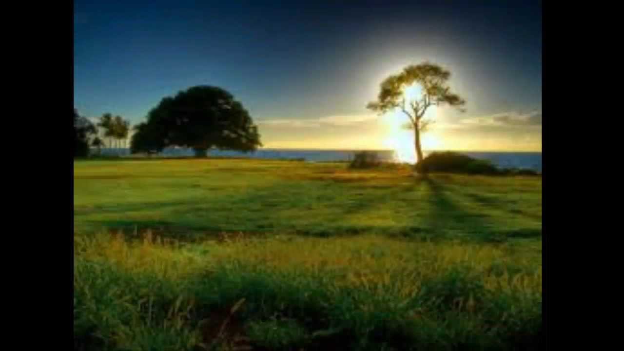 Watch Ildjarn - Nidhogg - Sunrise on YouTube Watch Ildjarn - Nidhogg - Sunrise on YouTube