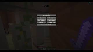 Playing Minecraft with Pirate Kitty
