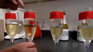 MythBustersChristmasSpecialSpoonInChampagne Details