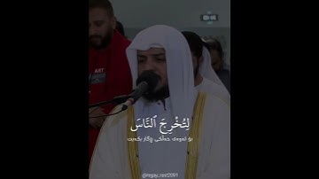 سورة إبراهيم (اية ١)  القارئ هيثم الدخين