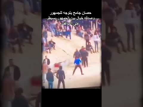 الحصان هجم على الجمهور تابع للاخير